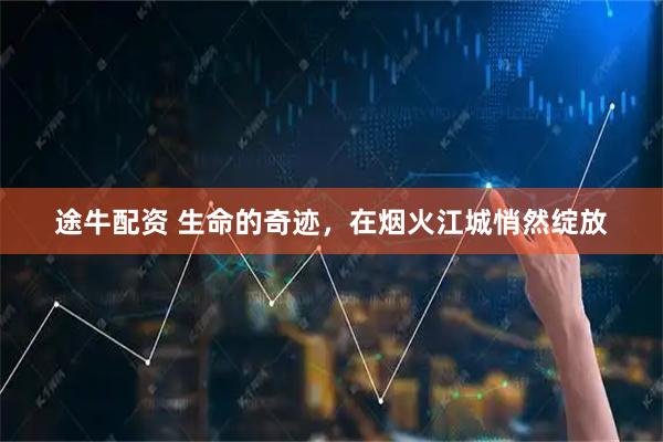 途牛配资 生命的奇迹，在烟火江城悄然绽放